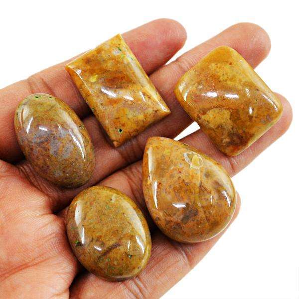 gemsmore:Amazing Natural Jasper Untreated Loose Gemstone Lot