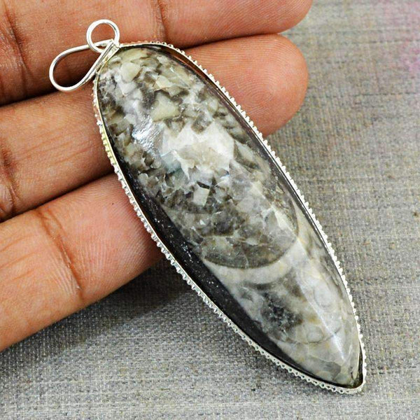 gemsmore:Amazing Natural Orthoceras Healing Pendant