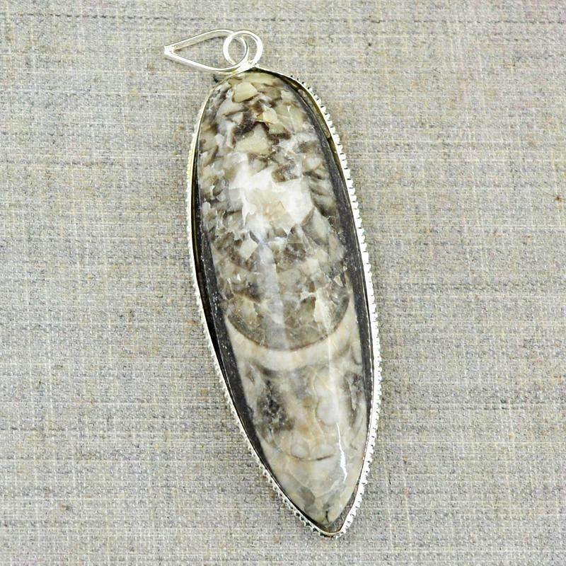 gemsmore:Amazing Natural Orthoceras Healing Pendant