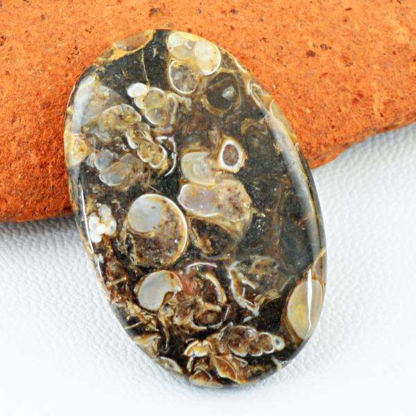 gemsmore:Amazing Natural Oval Shape Turritella Agate Untreated Loose Gemstone