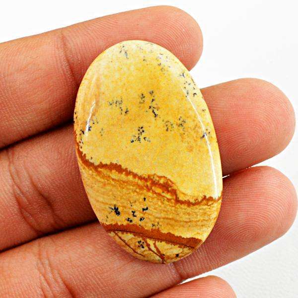 gemsmore:Amazing Natural Picture Jasper Untreated Loose Gemstone