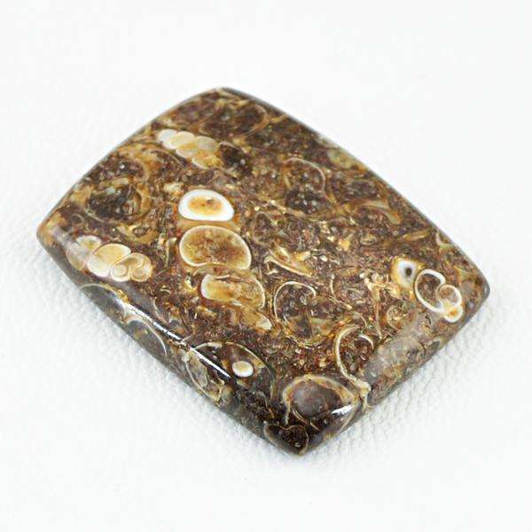 gemsmore:Amazing Natural Turritella Agate Untreated Loose Gemstone