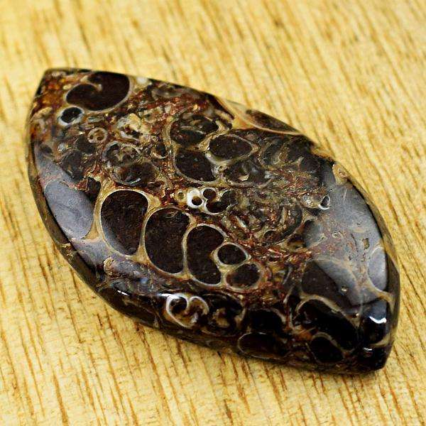 gemsmore:Amazing Natural Turritella Agate Untreated Loose Gemstone