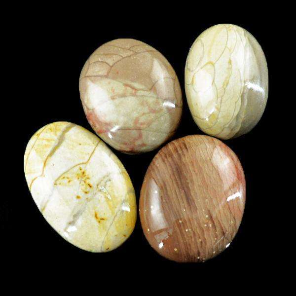 gemsmore:Amazing Natural Willow Creek Jasper Loose Gemstone Lot