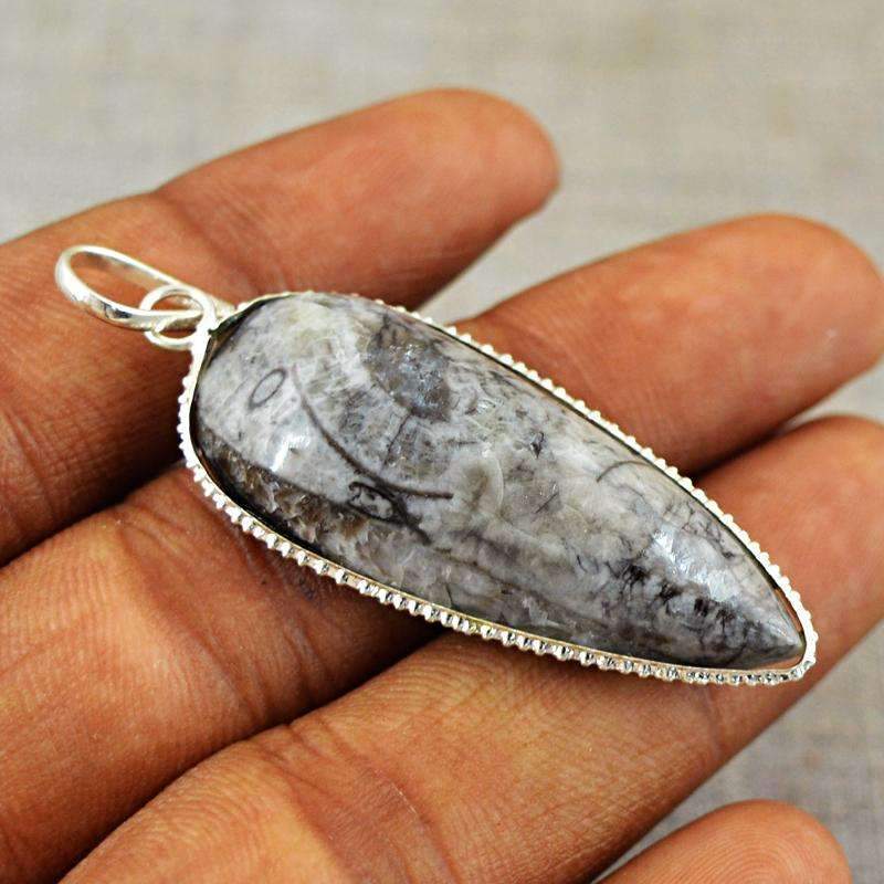 gemsmore:Amazing Orthoceras Pendant Natural Untreated