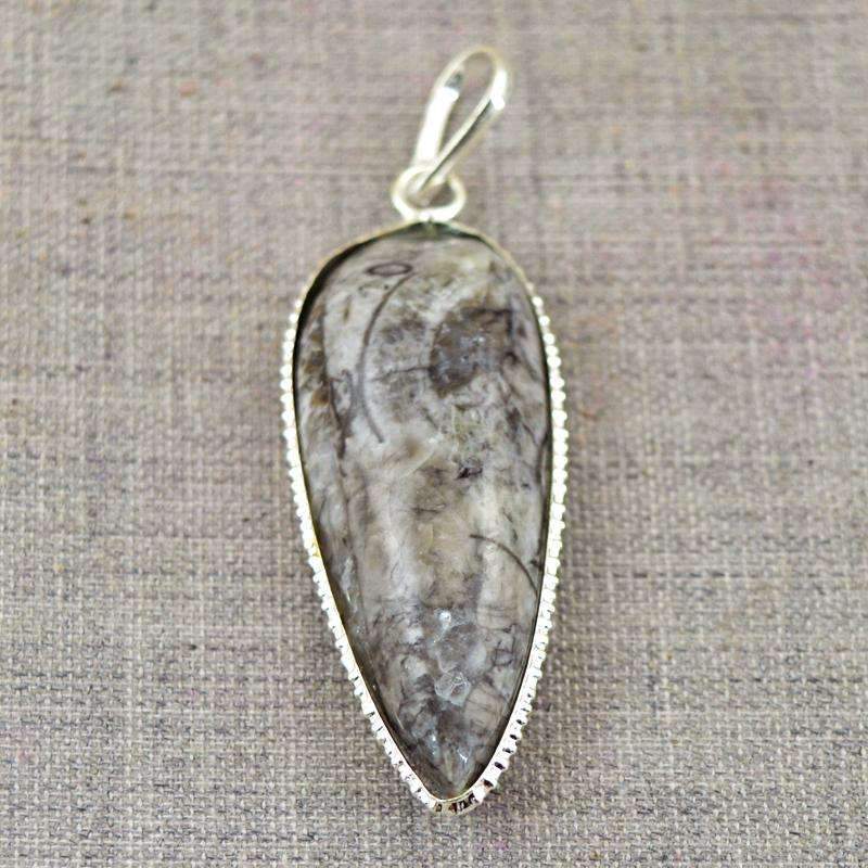 gemsmore:Amazing Orthoceras Pendant Natural Untreated