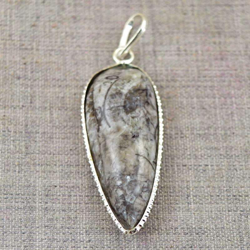 gemsmore:Amazing Orthoceras Pendant Natural Untreated