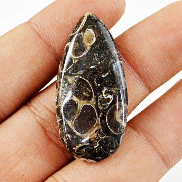 gemsmore:Amazing Pear Shape Turritella Agate Untreated Loose Gemstone