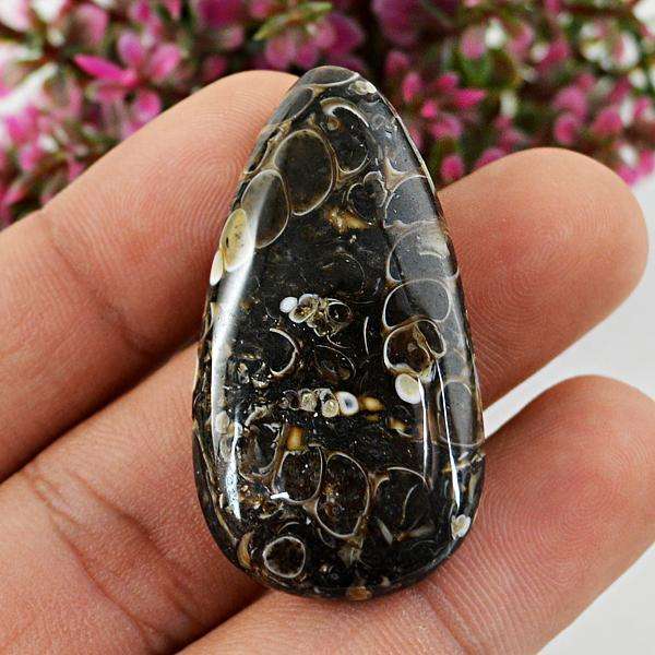 gemsmore:Amazing Pear Shape Turritella Agate Untreated Loose Gemstone