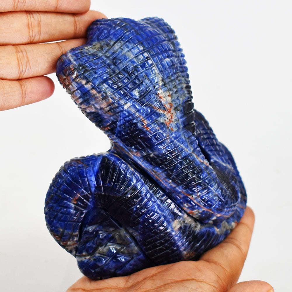 gemsmore:Amazing  Sodalite Hand Carved Genuine Crystal Gemstone Carving  Cobra