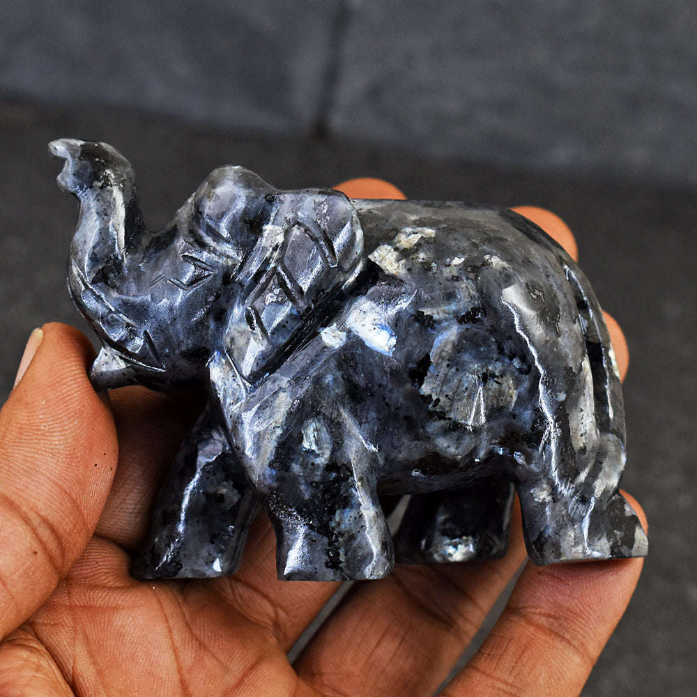 gemsmore:Artisian Larvikite Hand Carved Genuine Crystal Gemstone Carving Elephant