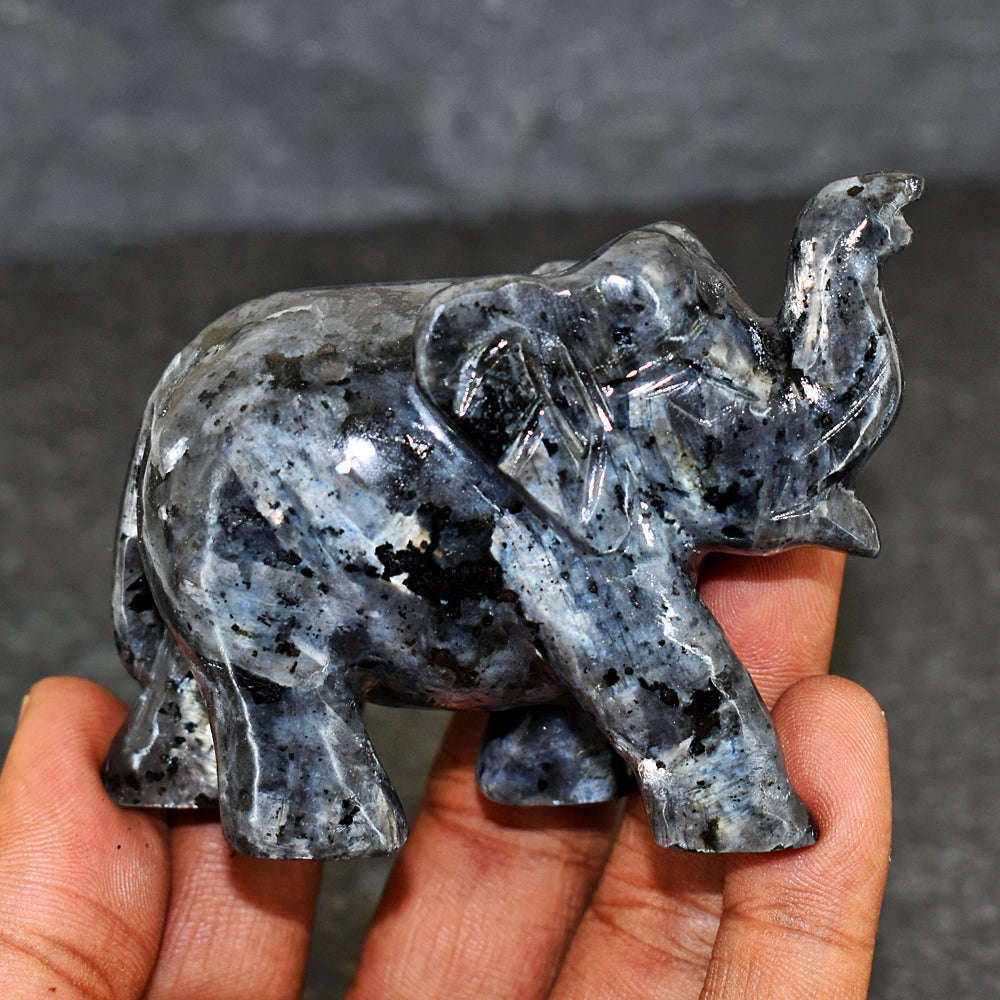 gemsmore:Artisian Larvikite Hand Carved Genuine Crystal Gemstone Carving Elephant