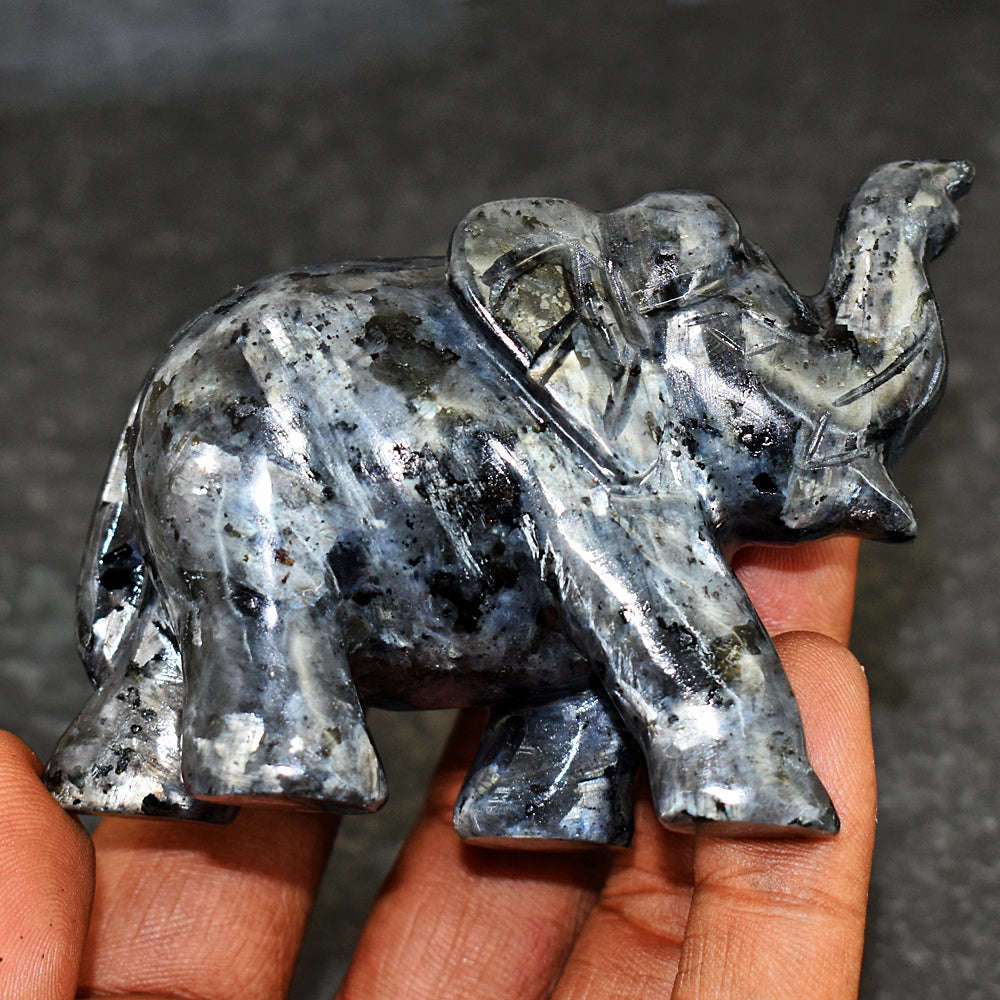 gemsmore:Artisian Larvikite Hand Carved Genuine Crystal Gemstone Carving Elephant