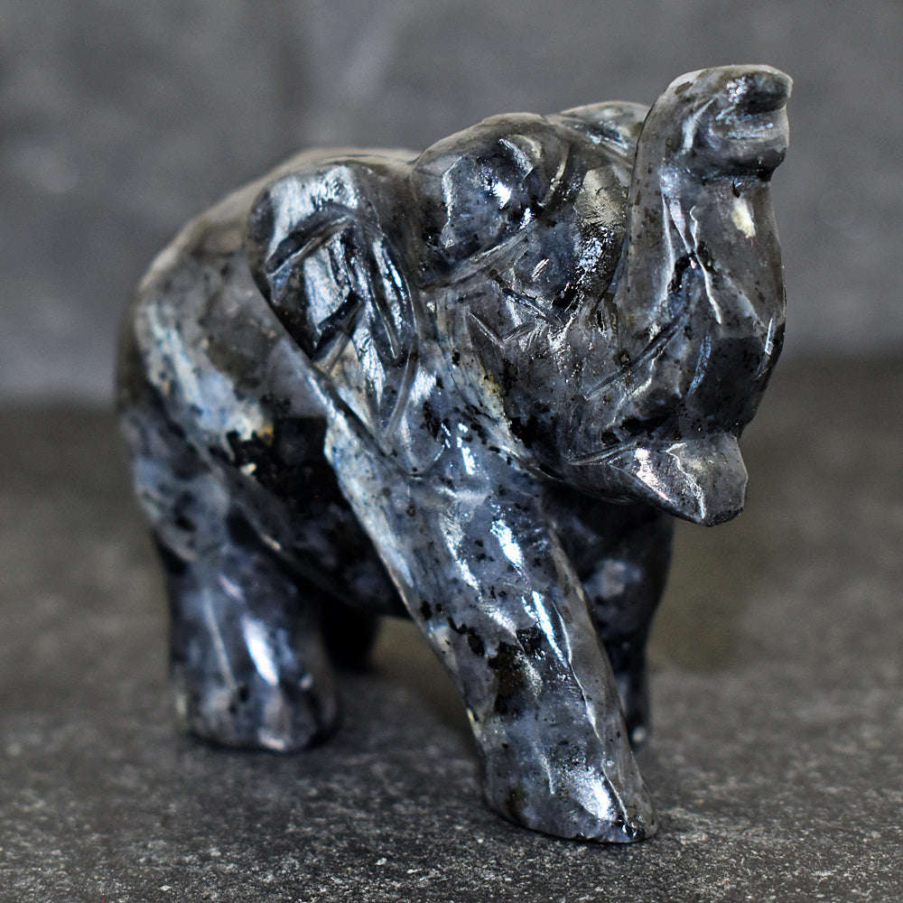 gemsmore:Artisian Larvikite Hand Carved Genuine Crystal Gemstone Carving Elephant