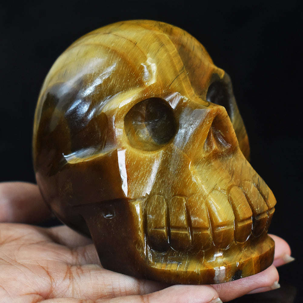 gemsmore:Beautiful Tiger Eye Hand Carved Genuine Crystal Gemstone Carving Skull