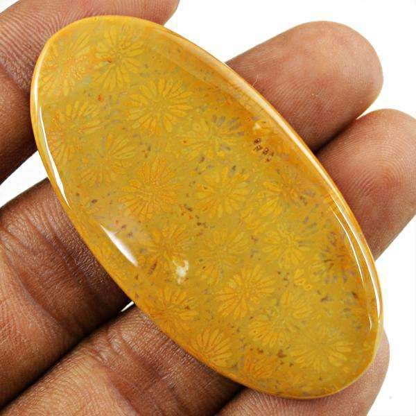 gemsmore:Coral Fossil Gemstone Natural Oval Shape - Untreated Loose