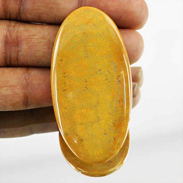 gemsmore:Coral Fossil Gemstone Natural Oval Shape - Untreated Loose