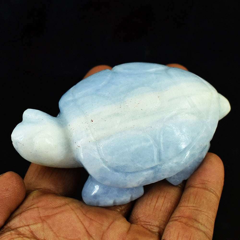 gemsmore:Craftsmen Angelite Hand Carved Genuine Crystal Gemstone Carving Turtle