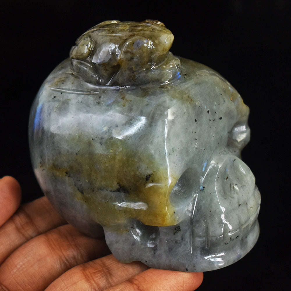 Craftsmen Blue Flash Labradorite Hand Carved Frog On Skull Carving
