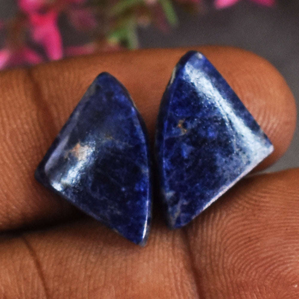 gemsmore:Exclusive 6 Carats Genuine Sodalite Gem's Pair  Gemstone
