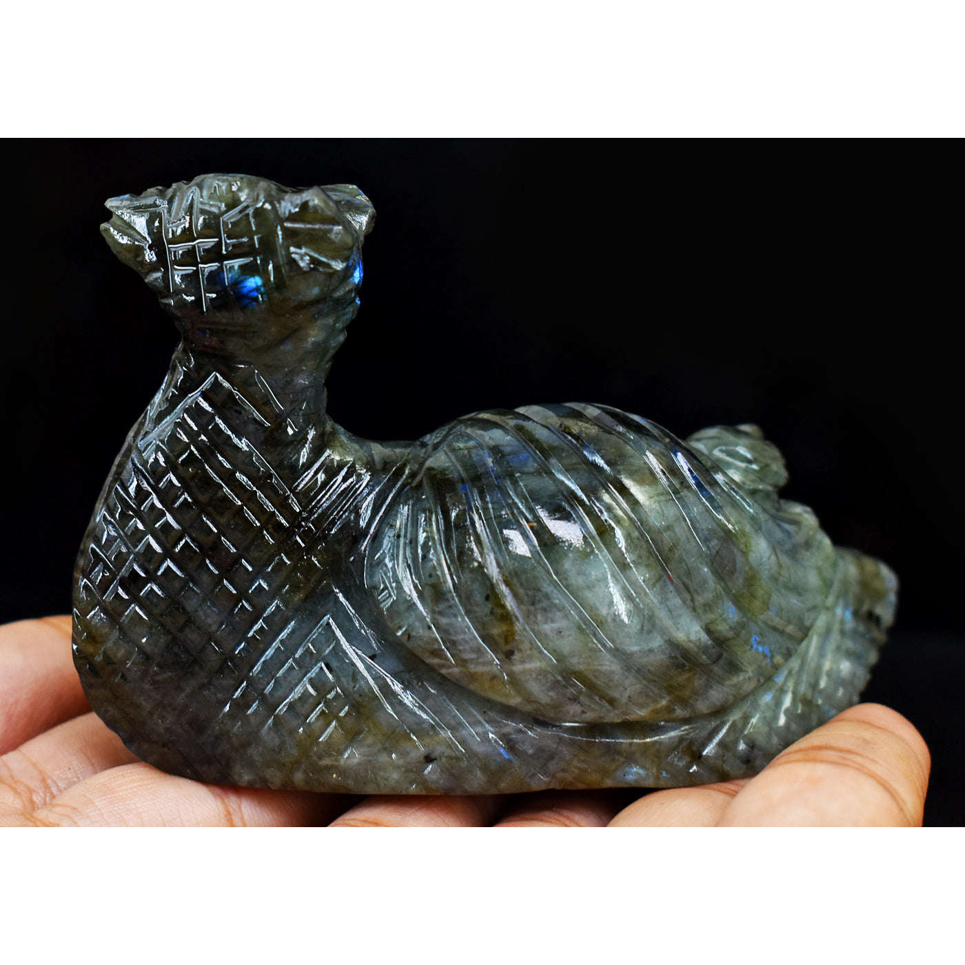 gemsmore:Exclusive  Blue Flash Labradorite Hand Carved Snail