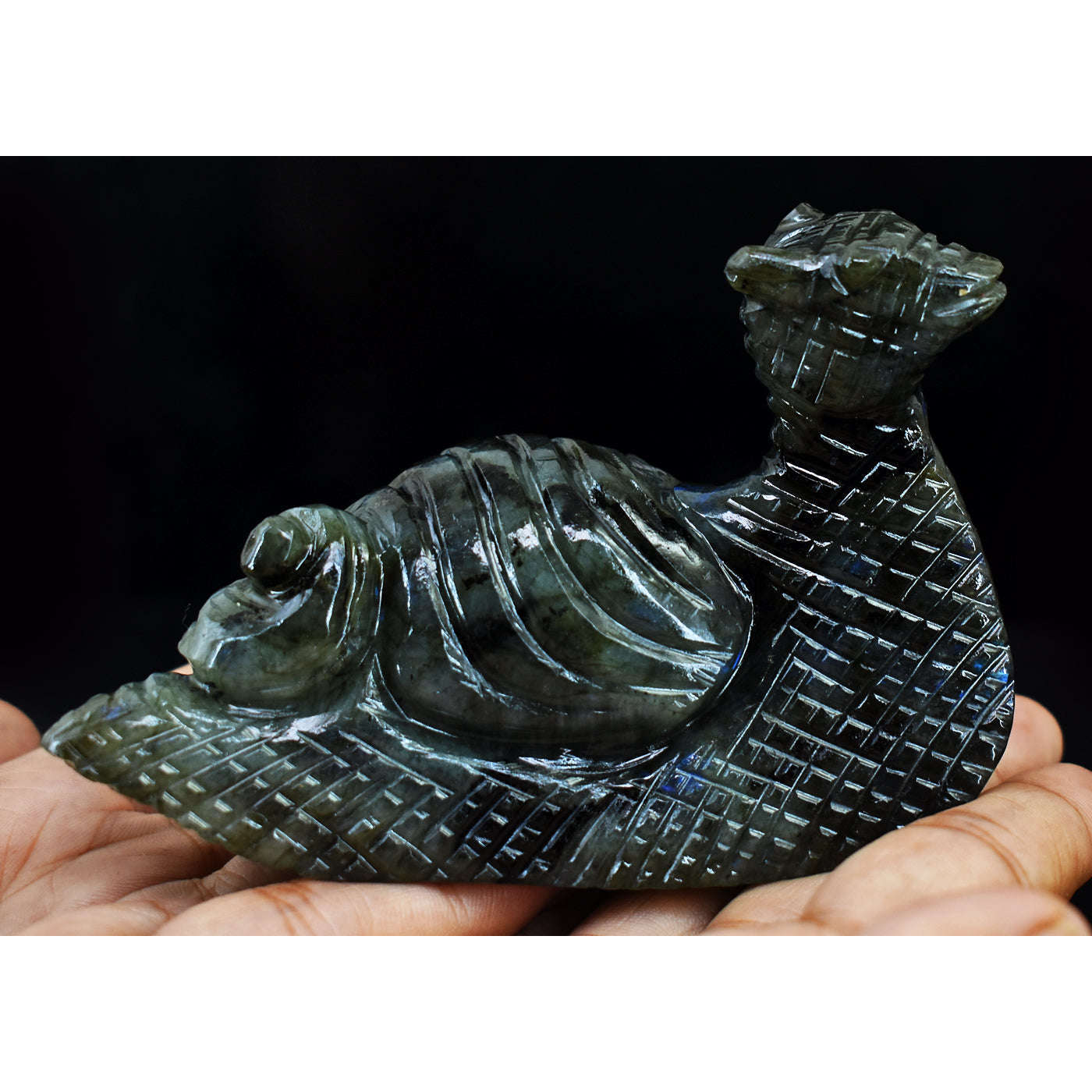 gemsmore:Exclusive  Blue Flash Labradorite Hand Carved Snail