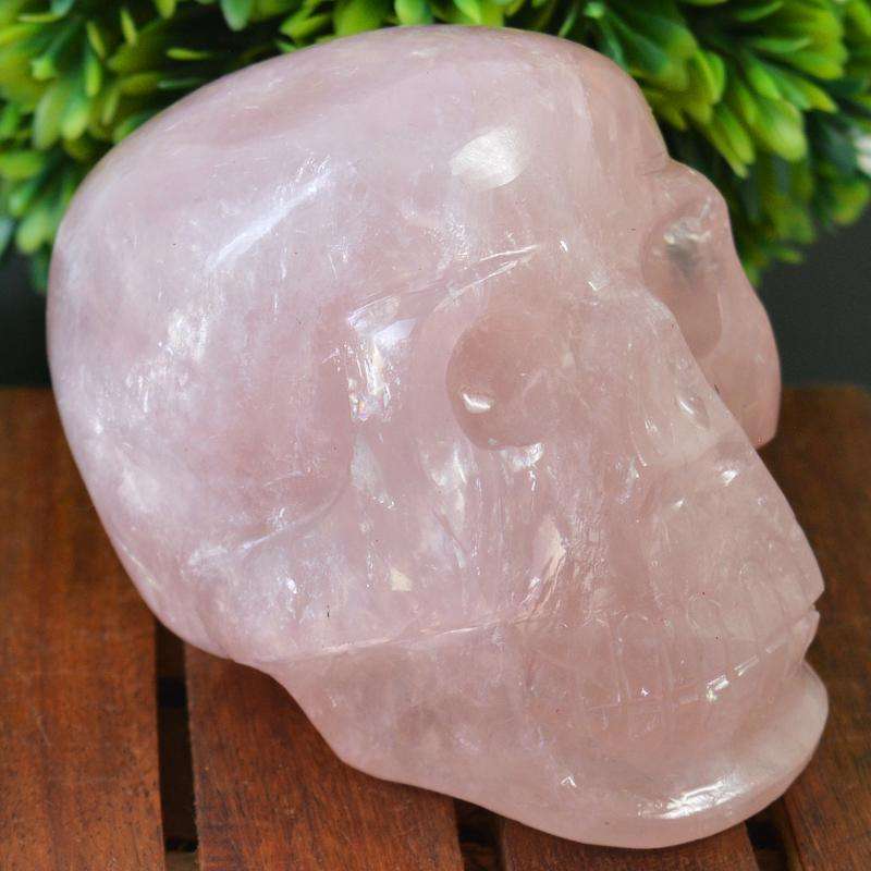 gemsmore:Exclusive Hand Carved Pink Rose Quartz Human Skull