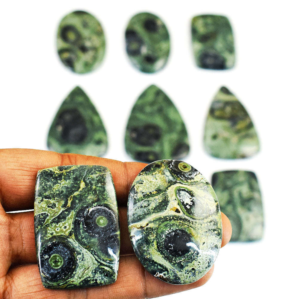 gemsmore:Exclusive Kambaba Jasper Untreated Gemstone Cabochon Lot