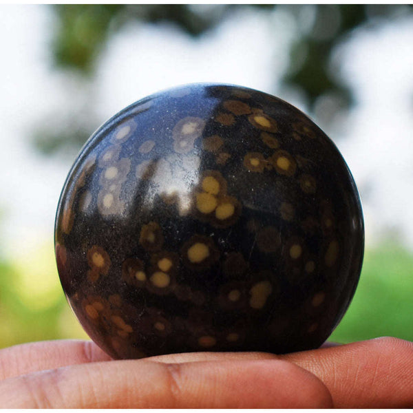 gemsmore:Exclusive Leopard Jasper Healing Hand Carved Sphere