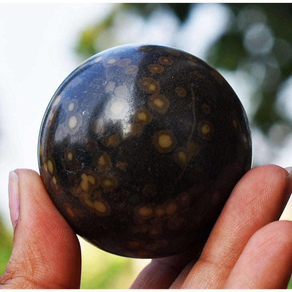 gemsmore:Exclusive Leopard Jasper Healing Hand Carved Sphere