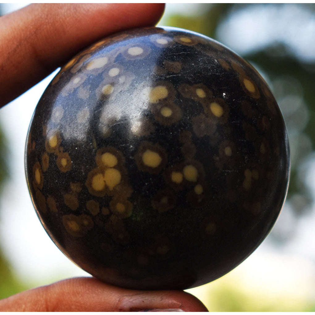 gemsmore:Exclusive Leopard Jasper Healing Hand Carved Sphere