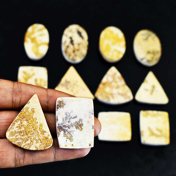 gemsmore:Exclusive Limestone Dendrite Untreated Gemstone Cabochon Lot