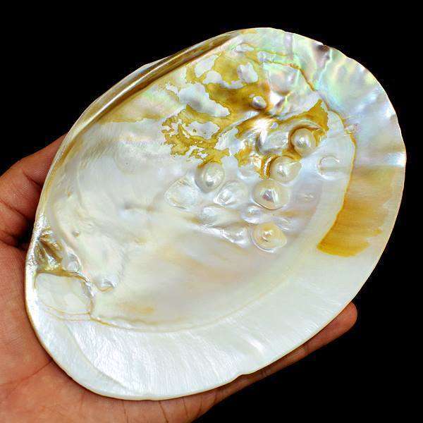 gemsmore:Exclusive Mother Pearl Hand Carved Plate