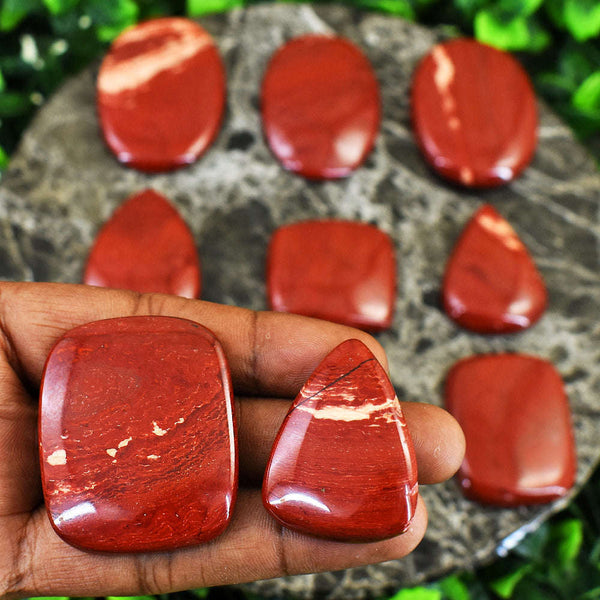 gemsmore:Exclusive Rainbow Jasper Untreated Gemstone Cabochon Lot