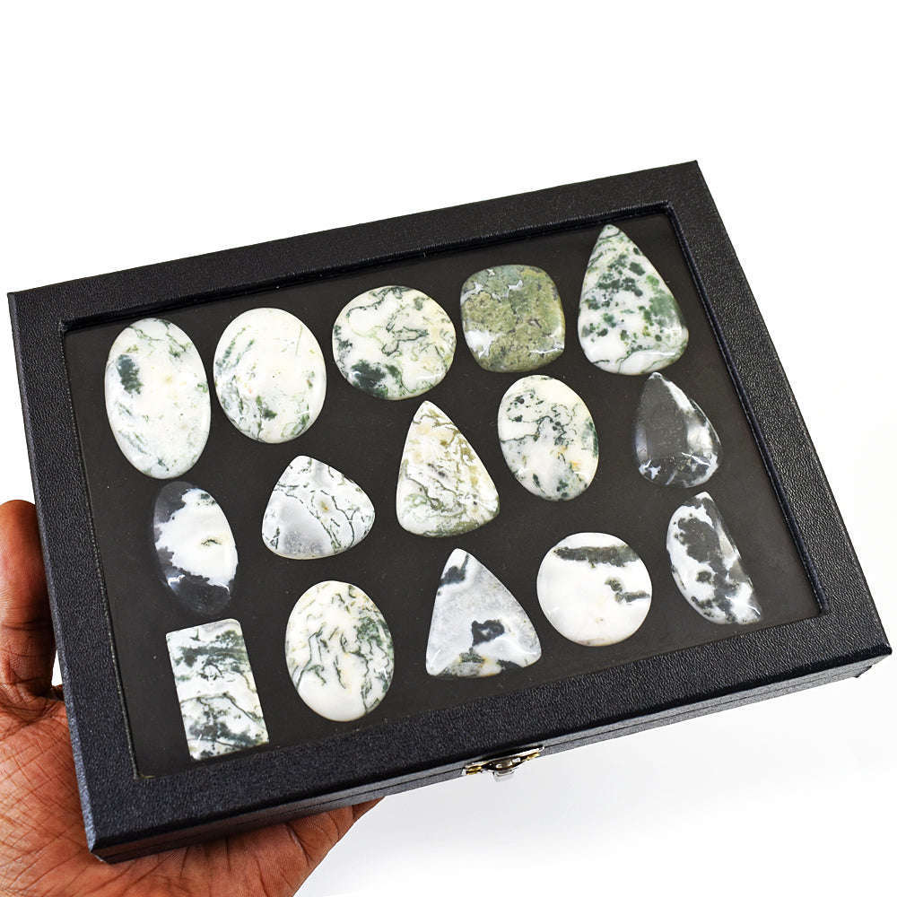 gemsmore:Exclusive Tree Agate Untreated Gemstone Cabochon Lot