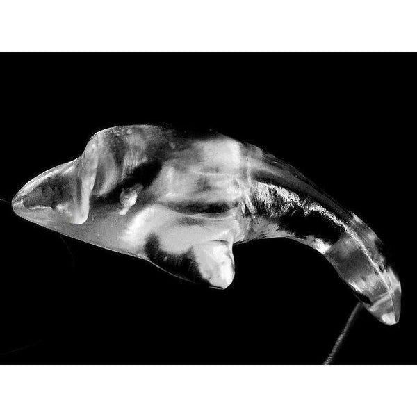 gemsmore:Exclusive White Quartz Carved Miniature Dolphin