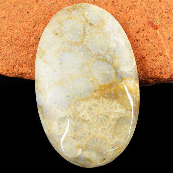 gemsmore:Amazing Coral Fossil Oval Shape Untreated Loose Gemstone