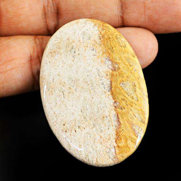 gemsmore:Amazing Coral Fossil Oval Shape Untreated Loose Gemstone