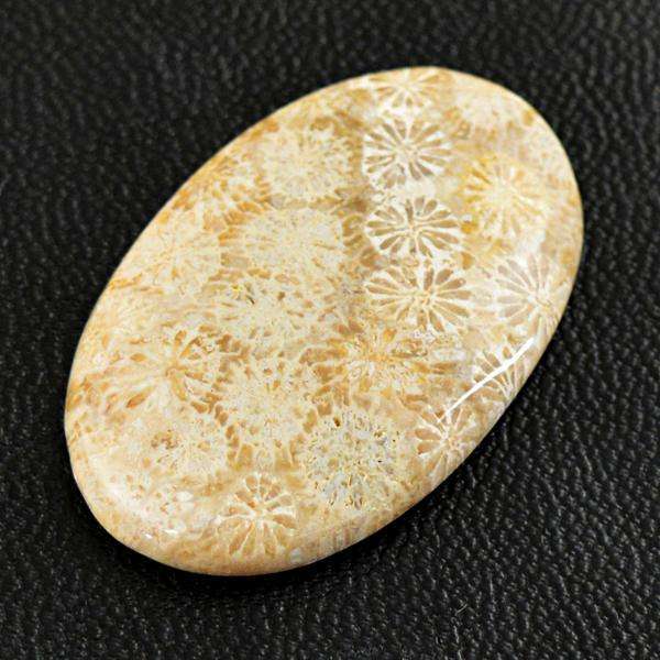 gemsmore:Genuine Amazing Coral Fossil Oval Shape Loose Gemstone