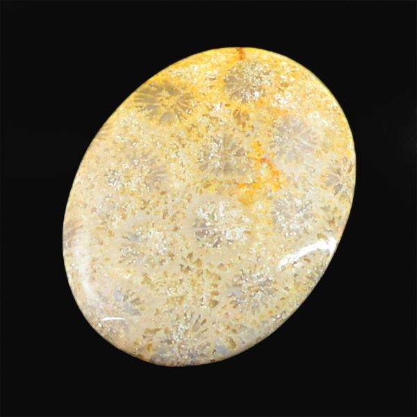 gemsmore:Genuine Amazing Coral Fossil Oval Shape Loose Gemstone