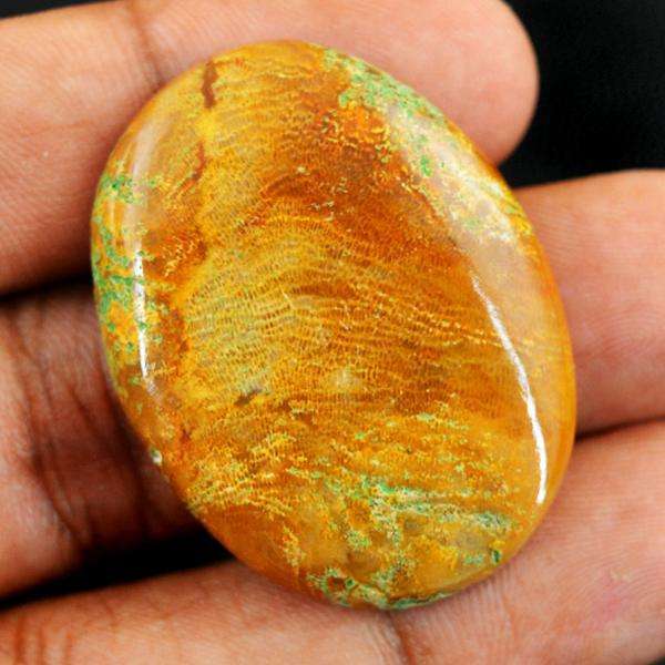 gemsmore:Genuine Amazing Coral Fossil Oval Shape Loose Gemstone