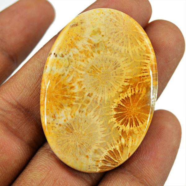 gemsmore:Genuine Amazing Coral Fossil Oval Shape Untreated Loose Gemstone