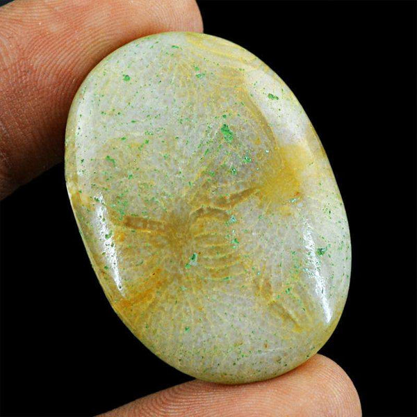 gemsmore:Genuine Amazing Coral Fossil Oval Shape Untreated Loose Gemstone