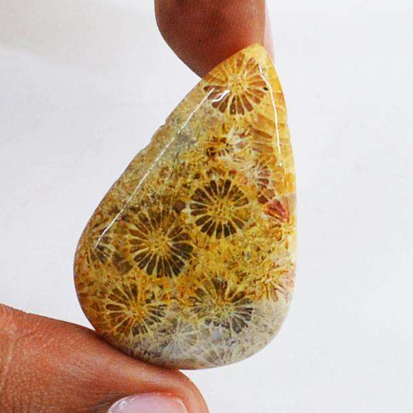 gemsmore:Genuine Amazing Coral Fossil Pear Shape Loose Gemstone