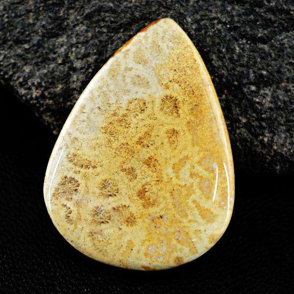 gemsmore:Genuine Amazing Coral Fossil Pear Shape Untreated Loose Gemstone