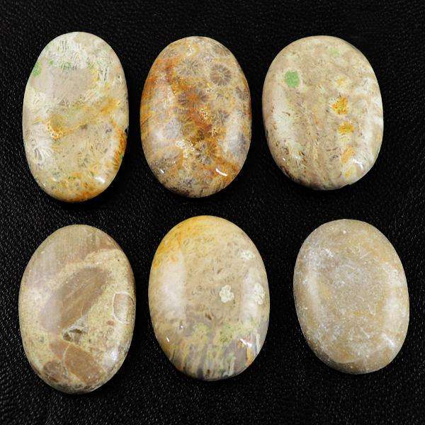 gemsmore:Genuine Amazing Coral Fossil Untreated Loose Gemstone Lot