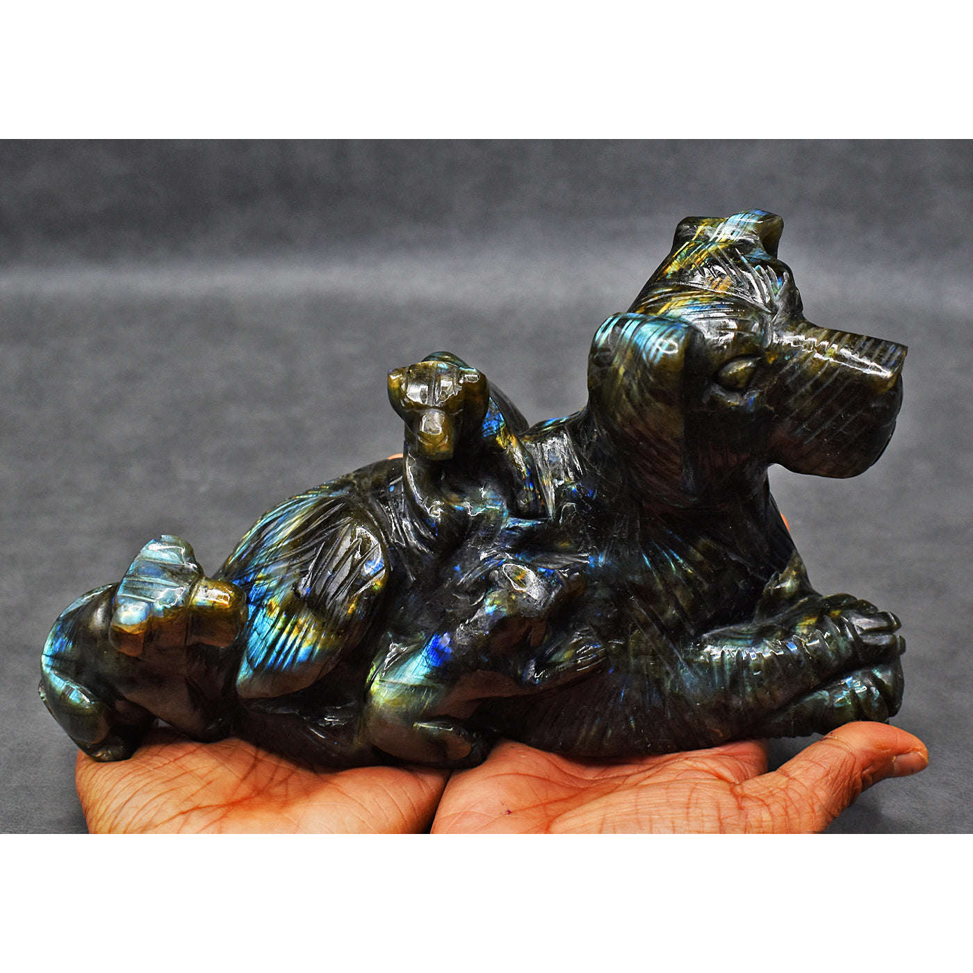 gemsmore:Genuine Amazing Flash Labradorite Carved Dog Family