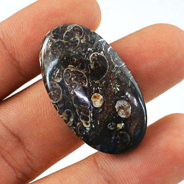 gemsmore:Genuine Amazing Oval Shape Turritella Agate Untreated Loose Gemstone