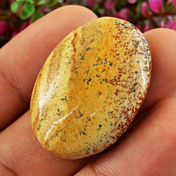 gemsmore:Genuine Amazing Picture Jasper Oval Shape Untreated Loose Gemstone