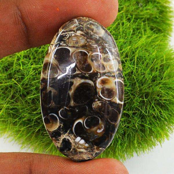 gemsmore:Genuine Amazing Turitella Agate Oval Shape Untreated Loose Gemstone